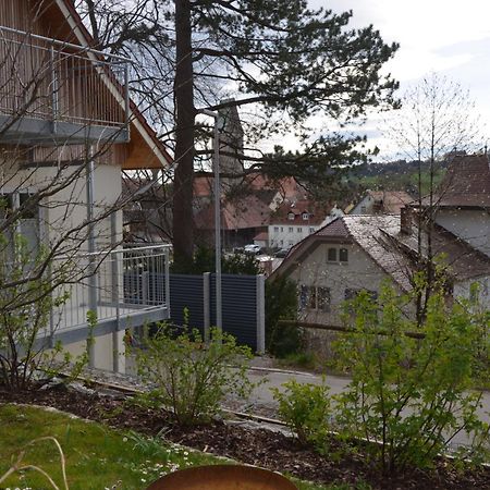 Beim Bergschreiner Apartment Oberguenzburg Екстериор снимка